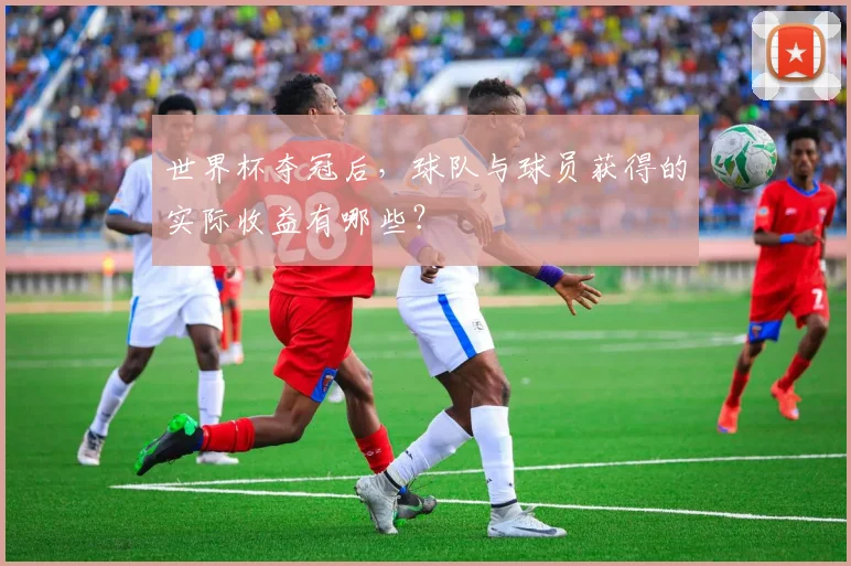 世界杯夺冠后，球队与球员获得的实际收益有哪些？