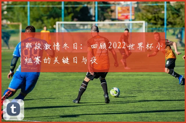 那段激情冬日：回顾2022世界杯小组赛的关键日与夜
