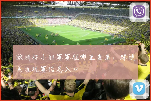 欧洲杯小组赛赛程哪里查看，球迷关注观赛信息入口