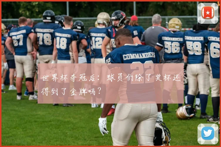 世界杯夺冠后：球员们除了奖杯还得到了金牌吗？