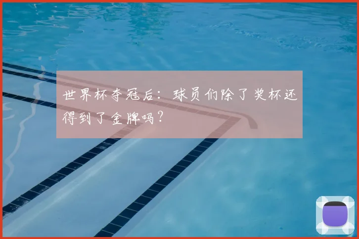 世界杯夺冠后：球员们除了奖杯还得到了金牌吗？
