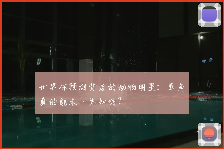世界杯预测背后的动物明星：章鱼真的能未卜先知吗？