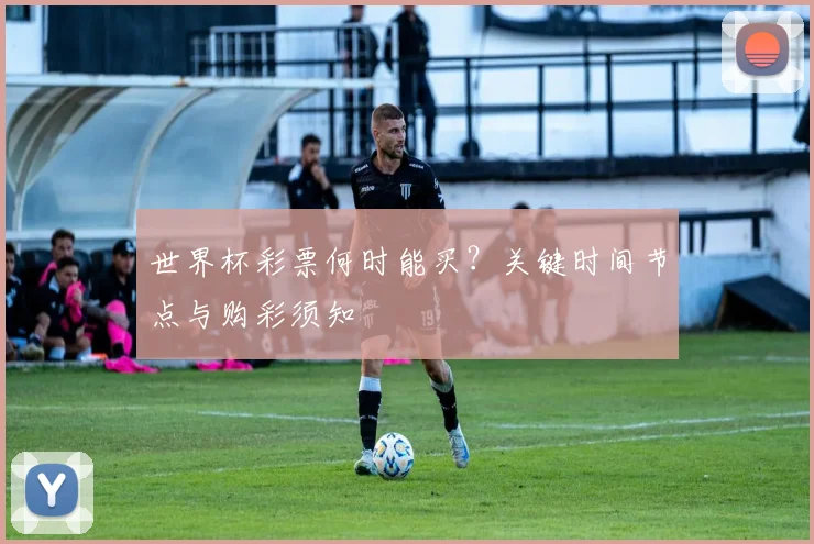世界杯彩票何时能买？关键时间节点与购彩须知
