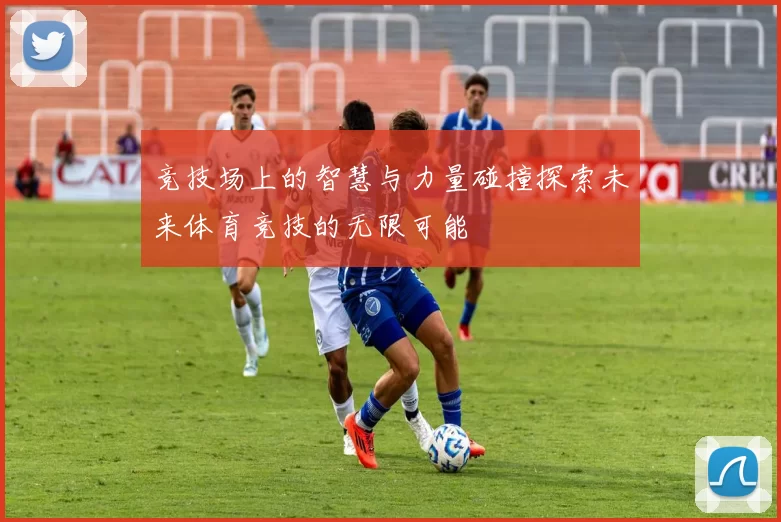 竞技场上的智慧与力量碰撞探索未来体育竞技的无限可能